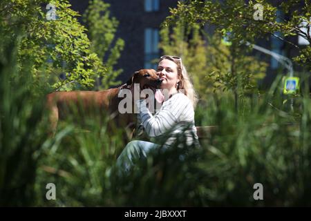 Schöne Frau mit Hund rhodesian ridgeback Hund im Freien auf einem Feld Stockfoto