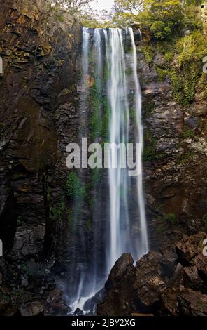 Bei Queen Mary Falls - Queensland fällt das Wasser von einer felsigen Klippe auf die Felsen Stockfoto