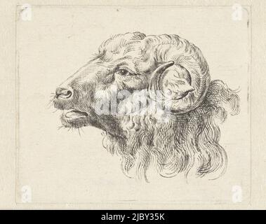 RAM Kopf, auf der linken Seite, Abraham Delfos, c. 1741 - c. 1820, Entwurf für einen Druck., Zeichner: Abraham Delfos, c. 1741 - c. 1820, Papier, Stift, H 86 mm × B 101 mm Stockfoto