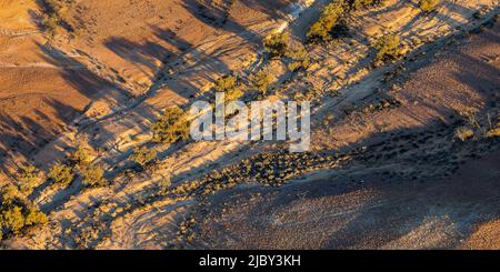 Hintergrund Der Natur. Trockene, trockene Landschaft aus dem Zentrum Südaustraliens. Luftaufnahmen über der Painted Desert, Dry Creek Beds und Buschland Stockfoto