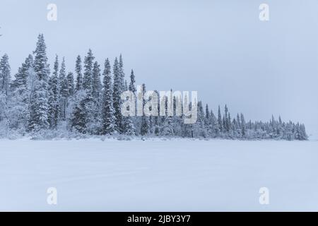 Bewölktes Winterbild in Schwedisch Lappland Stockfoto
