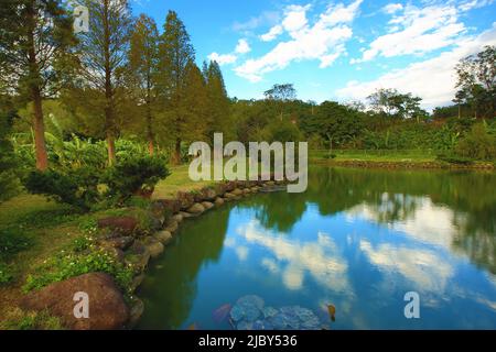 Schönen See Landschaft mit bunten kahlen Zypressen und Reflexionen im Herbst Stockfoto