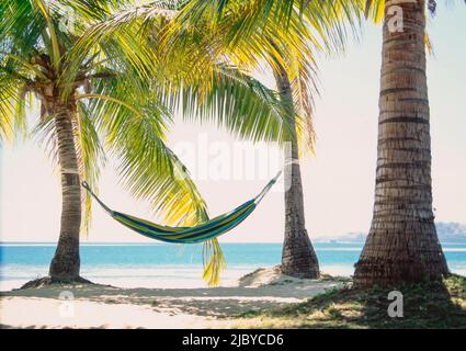 Hängematte zwischen zwei Palmen am tropischen Strand in Fidschi Stockfoto