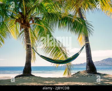 Hängematte zwischen zwei Palmen am tropischen Strand in Fidschi Stockfoto