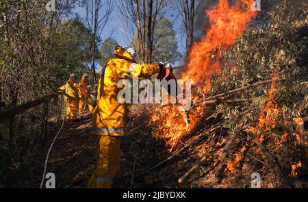 Drei Feuerwehrmänner einer ländlichen Feuerwehr, die auf einem ländlichen Grundstück in Australien eine brennende Buschkeusche abfeuerten. Stockfoto