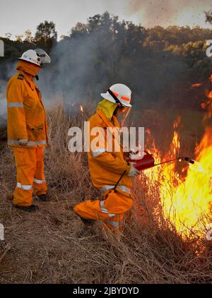 Feuerwehrmänner in Schutzkleidung zurück brennenden Waldboden Stockfoto