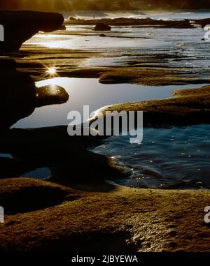 Am späten Nachmittag fällt bei Ebbe am Ferry Landing Beach Licht auf die Felsenpools Stockfoto