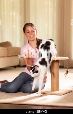 Teenager kaukasisches Mädchen, das im Wohnzimmer auf dem Teppich sitzt und mit ihrer Katze spielt, Katze, die vom Kratzbaum springt und von der Kamera schaut Stockfoto