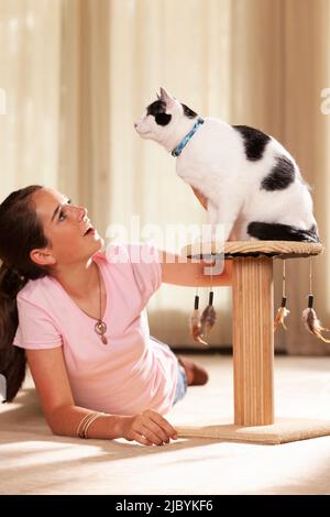 Teenager kaukasisches Mädchen, das im Wohnzimmer auf dem Teppich liegt und ihre Katze streichelt, Katze, die auf einem Kratzbaum sitzt und von der Kamera schaut Stockfoto