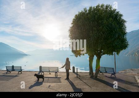 Frau, die mit ihrem Hund am Ufer des Lago Maggiore mit Berg und Sonnenlicht in Ascona, Schweiz, unterwegs ist. Stockfoto