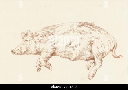 Liegender Schwein, links, Zeichner: Jean Bernard, 1812, Papier, H 172 mm × B 246 mm Stockfoto