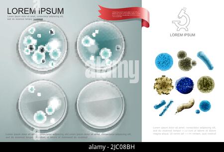 Realistische Zusammensetzung biologischer Mikroorganismen mit bakteriellen Zellen auf Petroschalen und verschiedenen Viren und Keimen Vektordarstellung Stock Vektor