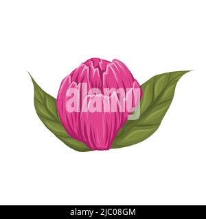 Vektor-Illustration von rosa Knospe der Pfingstrose Blume mit grünen Blättern isoliert vom Hintergrund. Stilisierte botanische Clip Art. Cartoon Blumenbild Stock Vektor