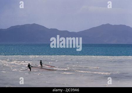 Männer, die Fischernetze in einem See, Lake Van, Türkei Stockfoto