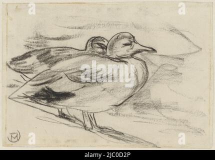 Zwei Enten, Zeichner: Theo van Hoytema, 1873 - 1917, Papier, H 127 mm × B 185 mm Stockfoto