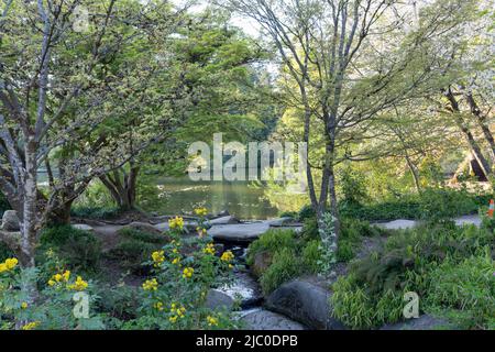 Central Park Lower Pond im Frühling. Burnaby, British Columbia, Kanada. Stockfoto