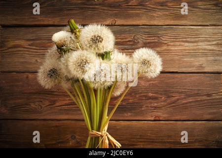Bunch weiße flauschige Dandelionen auf Holzhintergrund. Stockfoto