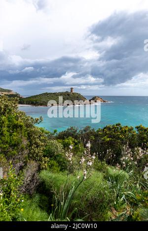 Panoramablick auf den Turm von Fautea oder Torra di Fautea (32 Meter, 105 Fuß), ein genuesischer Turm in der Gemeinde Zonza auf der Insel Korsika. Stockfoto