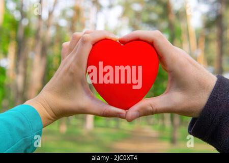 Nahaufnahme von weiblichen und männlichen Händen, die eine große rote Herzfigur vor einem Waldhintergrund halten. Stockfoto