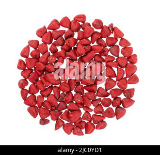 Annatto-Samen, isoliert auf weißem Hintergrund. Achiote Samen, bixa orellana. Natürlicher Farbstoff zum Kochen und Essen. Nahaufnahme. Draufsicht Stockfoto