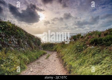 Der Pedngwinian Point blickt an einem stürmischen Abend zwei Stunden vor Sonnenuntergang auf Halzephron Stockfoto