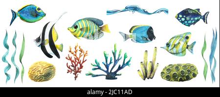Aquarell-Set mit verschiedenen tropischen Fischen, Algen, Korallen und Meeresschwämmen. Hell, saftig. Zur Dekoration und Gestaltung von Souvenirs, Plakaten Stockfoto