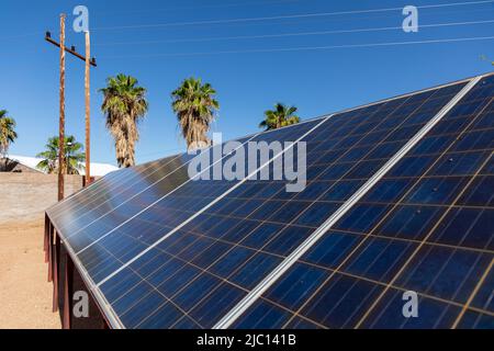 Diagonale Ansicht von Solarmodulen. Hinter den Paneelen befinden sich hölzerne Elektromasten mit Kabeln und Palmen mit einem klaren blauen Himmel. Stockfoto