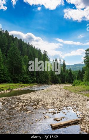Waldfluss fließt durch das Tal. Schöne Naturkulisse im Sommer. Fichten auf dem grasbewachsenen Ufer. Berge in der Ferne. Wolken auf dem Blau Stockfoto