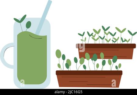 Vektorillustration von Smoothie aus Micro Greens Stock Vektor