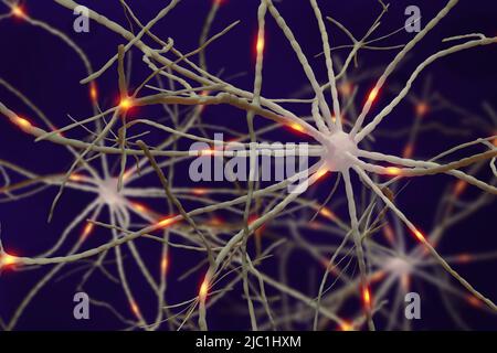 Neuronen 3D Abbildung. Elektrische Impulse in den neuronalen Netzen des menschlichen Gehirns Stockfoto