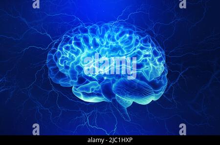 Röntgen des Gehirns, elektrischer Impuls, Brainstorming. Geist und Intelligenz einer Person. 3D Abbildung. Nervenenden und neuronales Netzwerk des menschlichen Gehirns Stockfoto