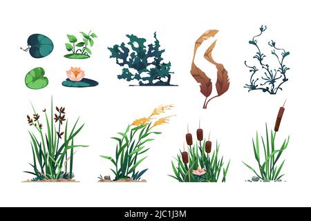 Seeufer. Teichflora und Sumpfbotanik Spiel Asset mit Schilf, Rohrkolben, und Bullush, Feuchtgebiet Wasser Blattpflanzen. Vektor-isolierter Satz Stock Vektor