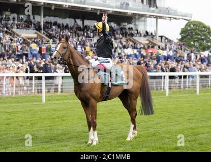 Aktenfoto vom 13-05-2022 von Stradivarius. John Gosden hat Stradivarius, der beim Gold Cup einen weiteren Riss hatte, mit einem Boxer verglichen, der sich dem Ende seiner Karriere nähert. Ausgabedatum: Donnerstag, 9. Juni 2022. Stockfoto