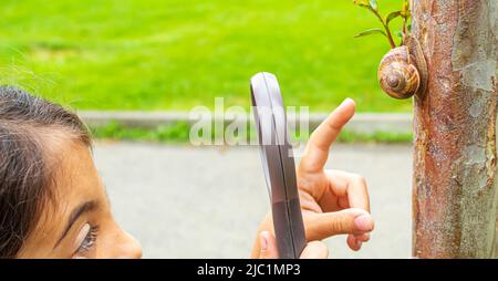 Das Kind untersucht die Schnecken am Baum. Selektiver Fokus. Stockfoto