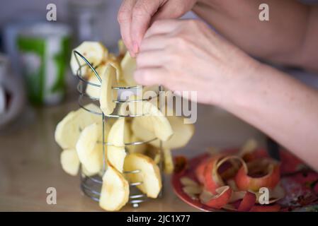 Ausgefallener, kreativer Stahl-Fruchttrockner. Stockfoto