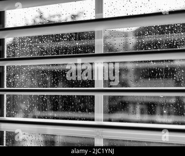 Blick durch Fensterläden auf regengetränkte doppelt verglaste Fenster in einem schwarz-weißen Familienhaus Stockfoto