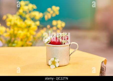 Erdbeeren in einem Reisetasse aus Metall-Aluminium. Grüner und gelber Frühlingshintergrund. Cottagecore Ästhetik Konzept, trendige Schatten Hintergrund. Speicherplatz kopieren Stockfoto