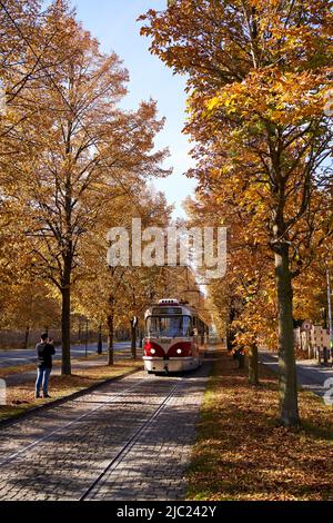 PRAG, TSCHECHISCHE REPUBLIK - 24. OKTOBER 2021: Straßenbahn unter Bäumen mit orangefarbenen Herbstblättern in Hradcany Stockfoto