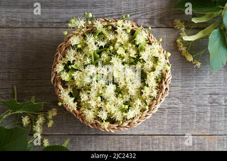 Frische Linden oder Linden blühen im Frühling in einem Korb, Draufsicht Stockfoto