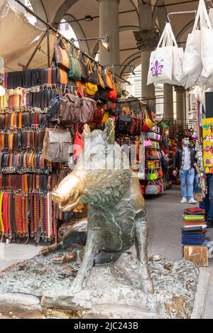 Die Bronzeschweinstatue (Il Porcellino), Neuer Markt (Mercato Nuovo) Florenz (Firenzone), Toskana, Italien Stockfoto