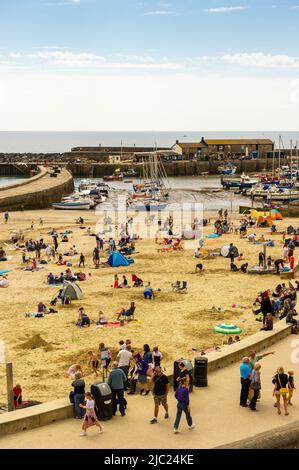 Lyme Regis Harbour, im Sonnenschein von oben, Dorset, England Stockfoto