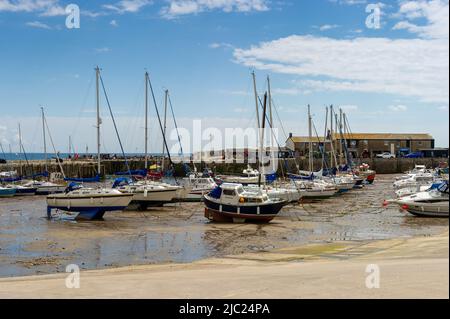 Boote in Lyme Regis Harbour bei Ebbe, Dorset, England Stockfoto