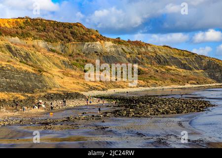 Fossilienjäger bei Ebbe am Strand unterhalb des Black Venn-Erdrutsches bei Lyme Regis an der Jurassic Coast, Dorset, England, Großbritannien Stockfoto