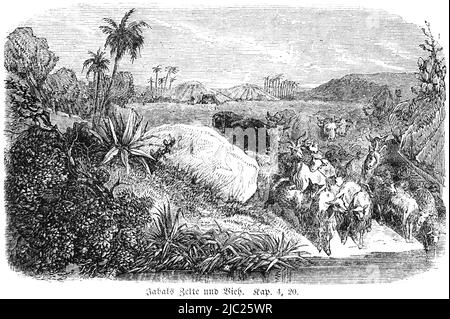 Die Bibel, Altes Testament, Erstes Buch Mose, 1 Mose, Kapitel 4, Vers 20, historische Illustration 1850´s Stockfoto