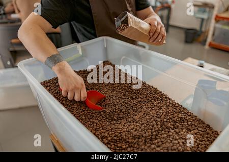 Nahaufnahme der Hände des Baristas, die geröstete Kaffeebohnen in Verkaufsverpackungen verpackt haben Stockfoto