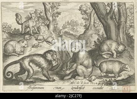 Affen, Katzen und Mäuse Animalivm qvadrvpedvm (Serientitel) Tiere in Landschaften (Serientitel), Druckerei: Nicolaes de Bruyn, (Objektbezeichnung), Nicolaes de Bruyn, Verlag: Assuerus van Londerseel, (Objektbezeichnung), Druckerei: Niederlande, Verlag: Antwerpen, 1594, Papier, Gravur, H 85 mm × B 125 mm Stockfoto