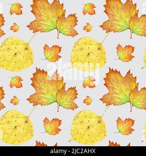 Aquarell-Herbstmuster mit Linden- und Viburnumblättern mit roter Färbung. Herbstblatt von Linden und Viburnum.. Herbarium. Nahtloses Herbstmuster. Stockfoto