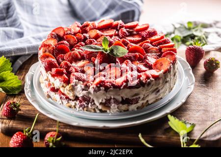 Erdbeer-Sahnetorte mit Biskuitkuchen auf einem weißen Teller. Stockfoto