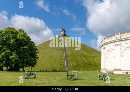 Waterloo, Belgien - 6. Juni 2022: Blick auf den Löwenhügel und Kanonen auf dem Schlachtfeld-Denkmal von Waterloo außerhalb von Brüssel Stockfoto