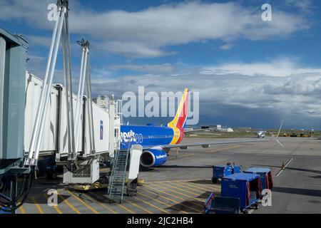 Denver, Colorado, 30. Mai 2022. Südwestflugzeug bereit zum Einsteigen, vom Glasfenster des Denver International Airport aus gesehen Stockfoto